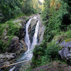 Image00081