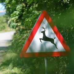 Image00085
