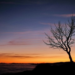 Image00004