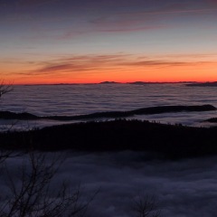 Image00005