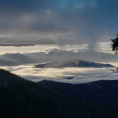 Image00007