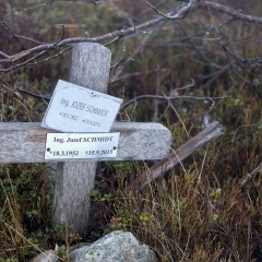 Image00010
