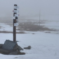Image00012