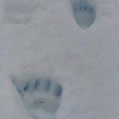 Image00013