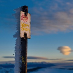 Image00020