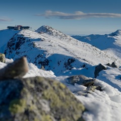 Image00024