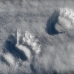 Image00034