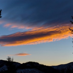 Image00044