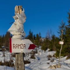 Image00046