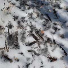 Image00050