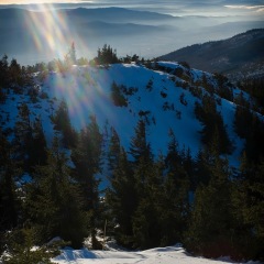 Image00059