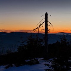 Image00066