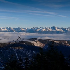 Image00070