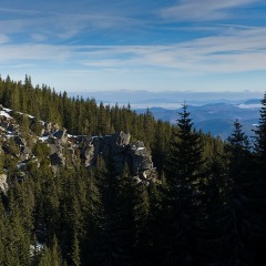 Image00079
